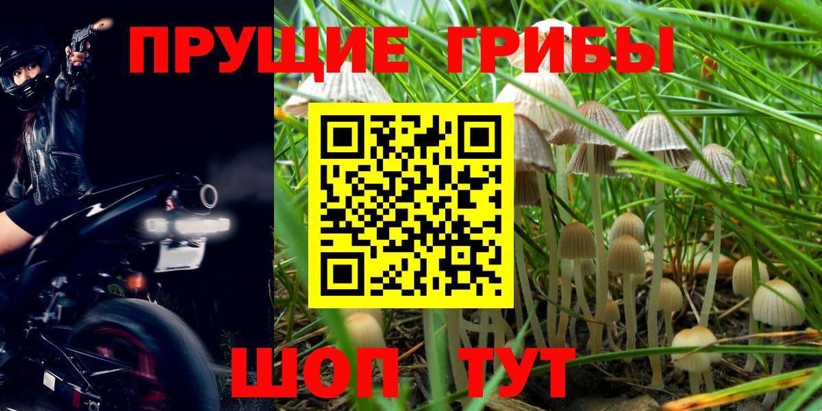 Псилоцибиновые грибы Psilocybine cubensis  Вход с VPN  Дмитров 