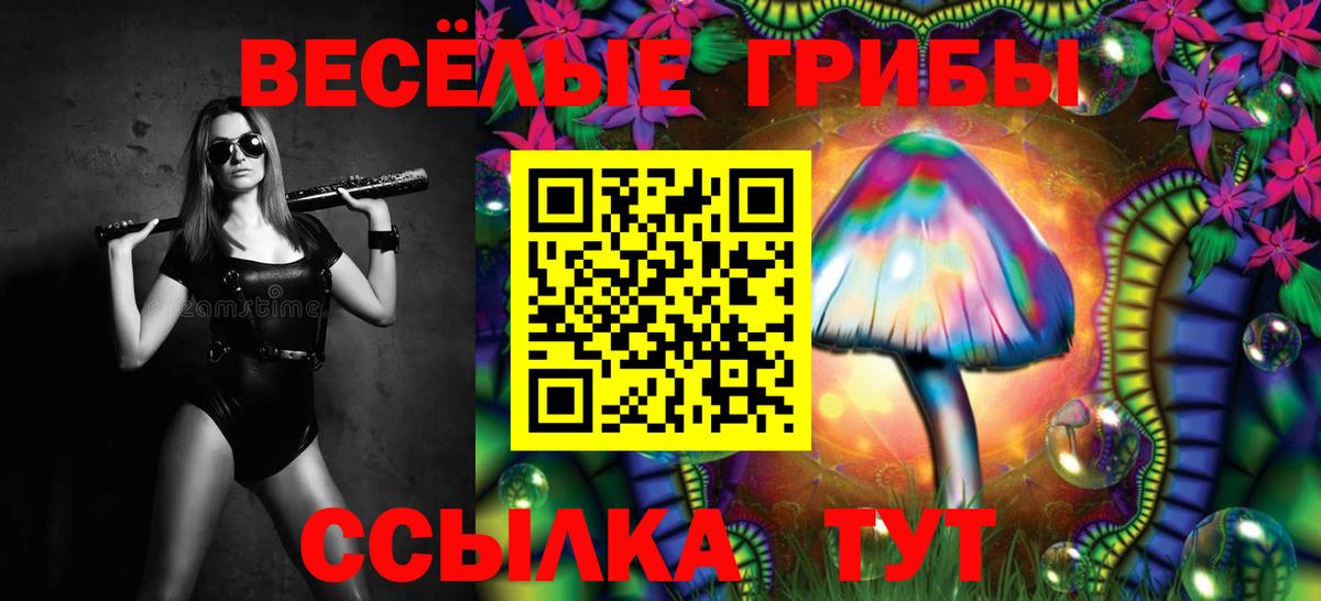 Галлюциногенные грибы GOLDEN TEACHER Дмитров